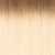 Elegance Micro Tape Hair - Colour T6/16 Length 14