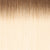 Elegance Micro Tape Hair - Colour T6/60 Length 14